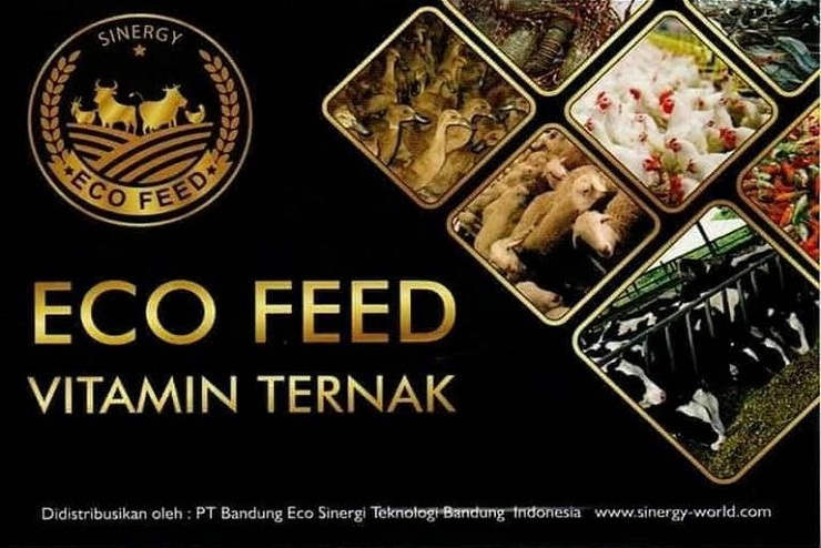 Eco Feed Pakan Ternak Yang memiliki Banyak Manfaat Untuk Industri Peternakan