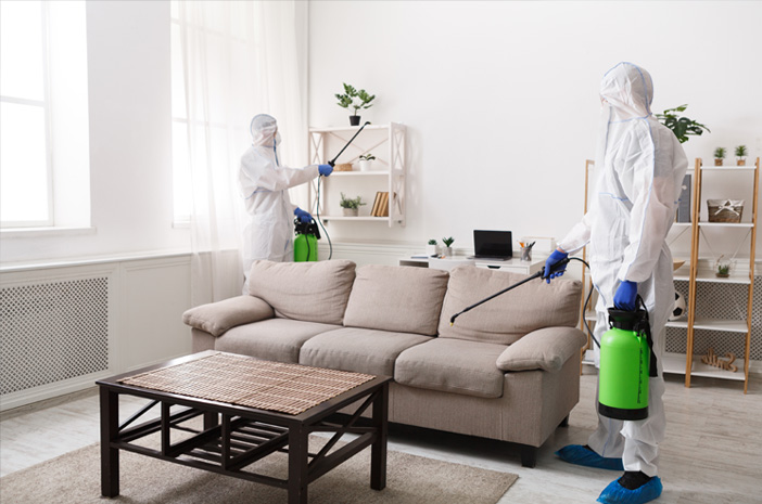 Sosmed jasa fogging rumah