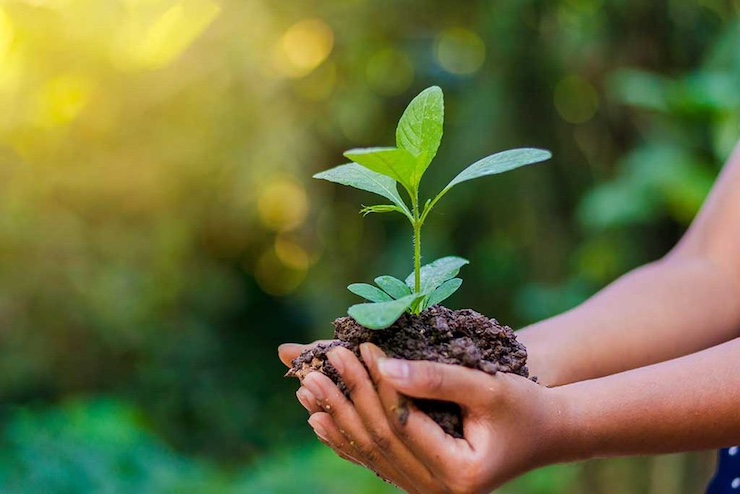 Tujuan, Peran, dan Kegiatan dlhindonesia.id untuk Lingkungan Hidup