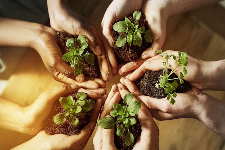 Manfaat Aplikasi Digital dlhdiy.id bagi Masyarakat Yogyakarta dalam Pelestarian Lingkungan